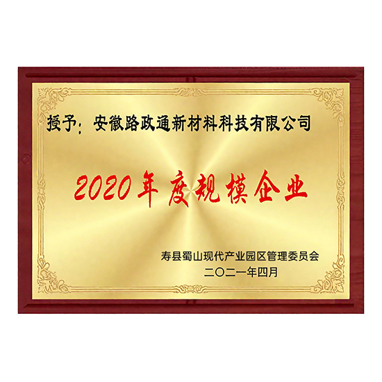 2020年度规模企业